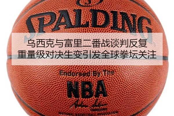 乌西克与富里二番战谈判反复 重量级对决生变引发全球拳坛关注